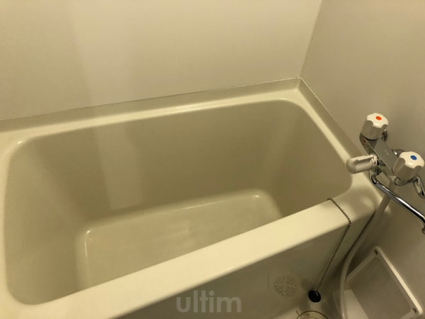 風呂画像(他の部屋の写真です。)
