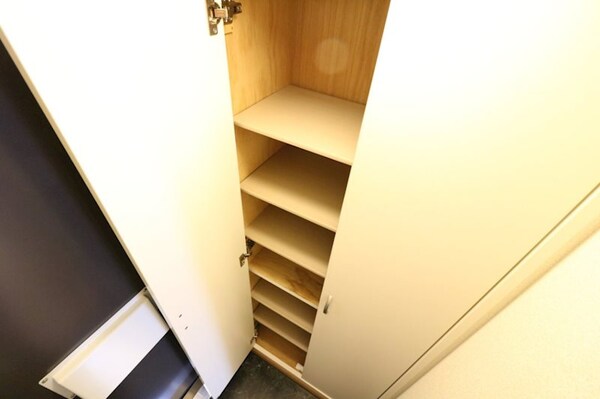 玄関(※別のお部屋の写真です)