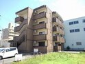 プラシード幸