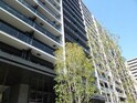 シティテラス宮崎