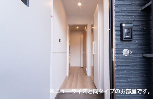 玄関周り