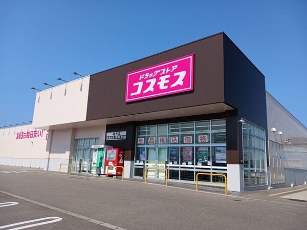周辺環境(コスモスまで850m)