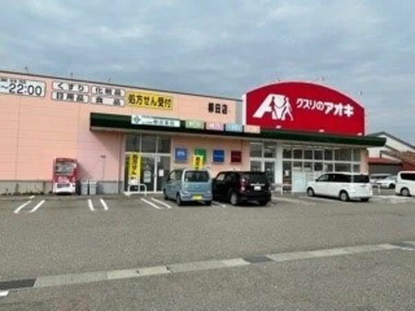 周辺環境(クスリのアオキまで1000m)