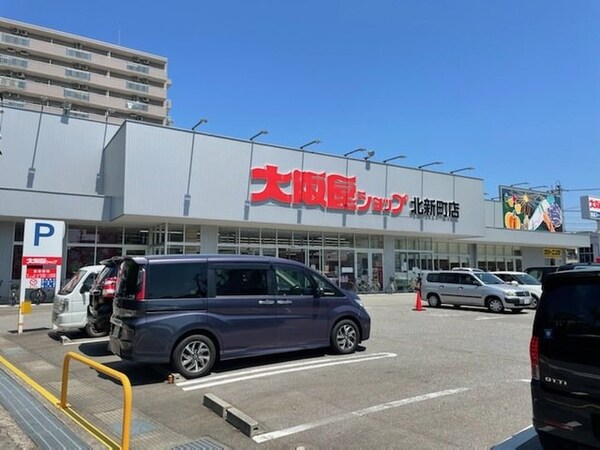 周辺環境(大阪屋ショップ北新町店まで240m)