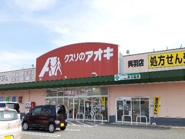 周辺環境(クスリのアオキ呉羽店まで1100m)