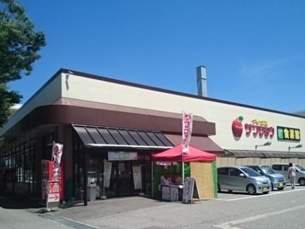 周辺環境(アップルサンショウ新根塚町店まで300m)