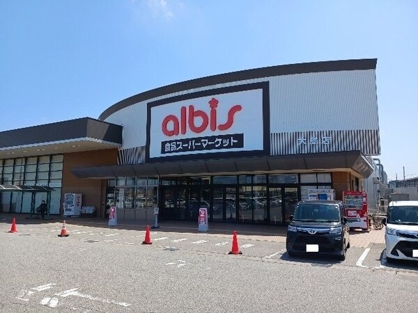周辺環境(アルビス大島店まで700m)