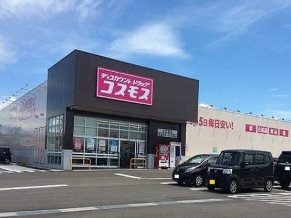 周辺環境(コスモス大広田店まで500m)