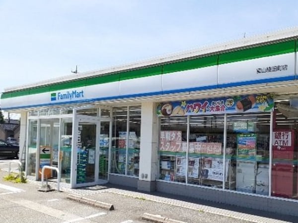 周辺環境(ファミリーマート富山綾田町店まで350m)