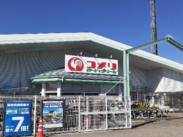 周辺環境(コメリ大沢野店まで1100m)