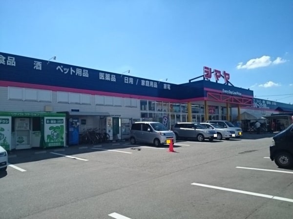 周辺環境(シマヤ豊田店まで1200m)