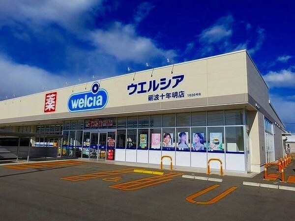 周辺環境(ウエルシアまで250m)