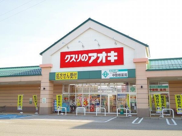 周辺環境(クスリのアオキまで210m)