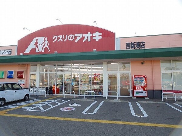 周辺環境(クスリのアオキまで550m)
