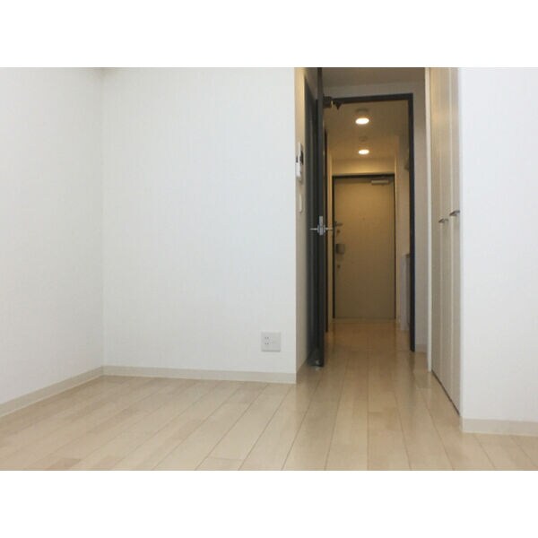 物件内観写真10　(室内廊下)