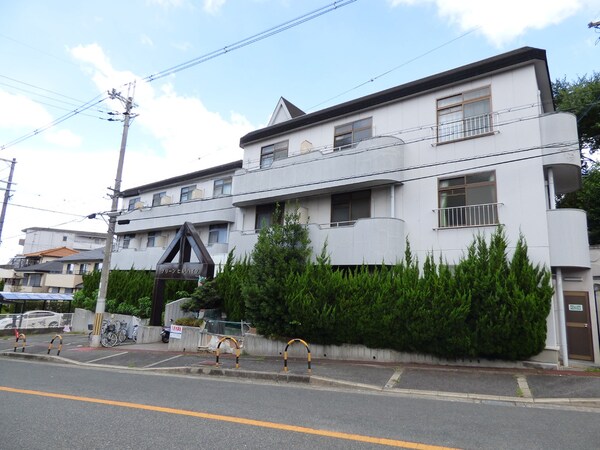 外観(植木が良いアクセントのマンションです)