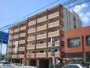 物件外観写真1　(外観)