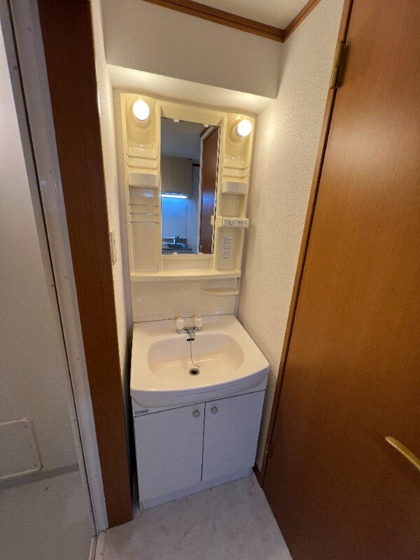 洗面所(別号室イメージ)