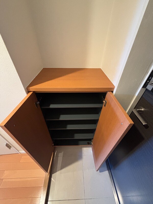 玄関(1003号室　写真)