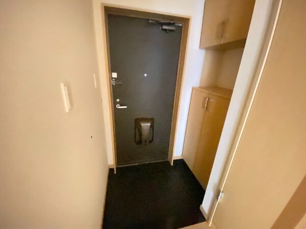 玄関(同型タイプです。)