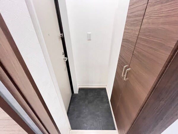 玄関(同型タイプ)