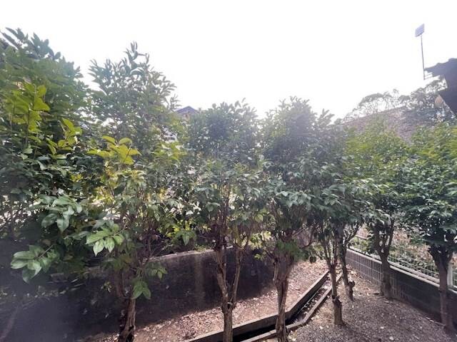 物件内観写真9　(別号室イメージ)