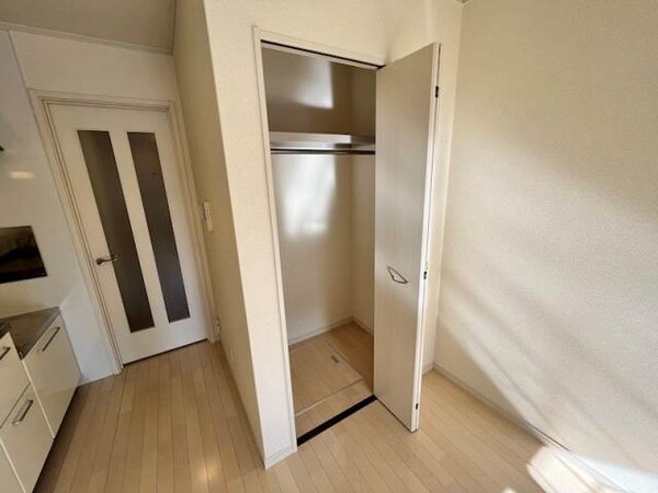 収納(同物件別部屋写真)