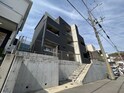 アリッサム