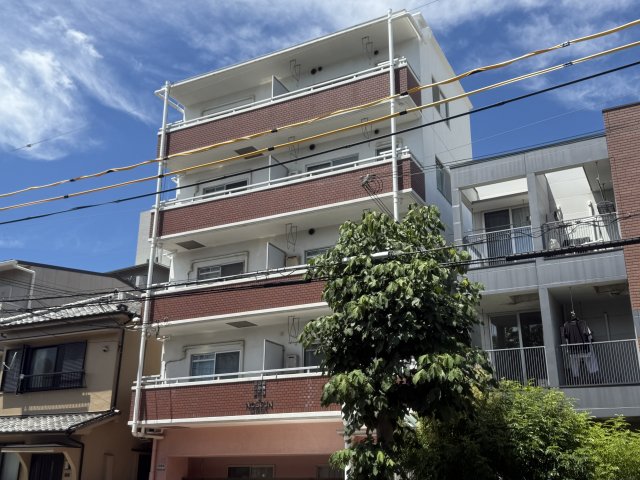 NOBSUN海岸通