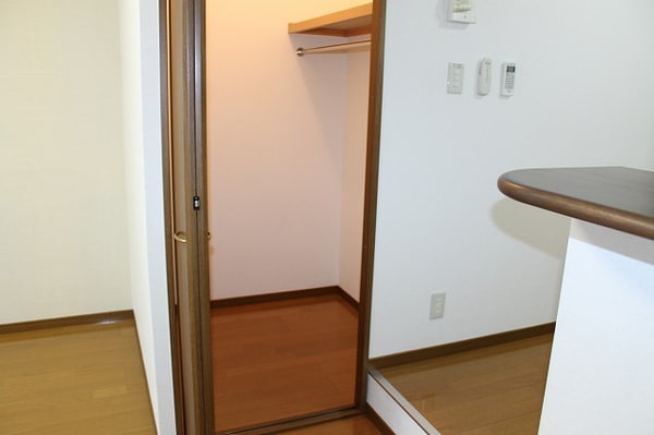 収納(ウォークインクローゼット)