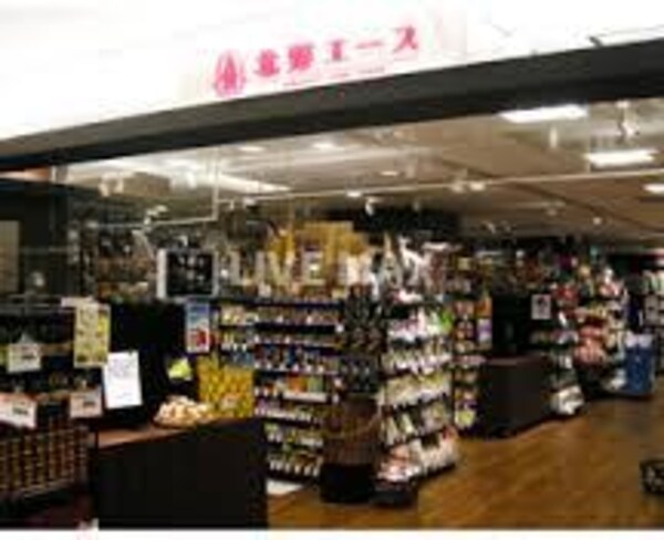 周辺環境(北野エｰス 京都店（299m）)