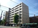 SOUTHERN CROSS 313