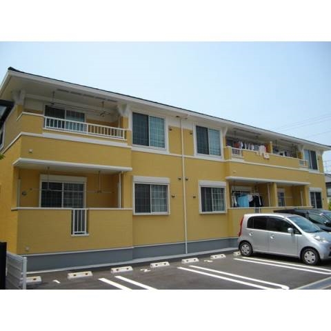 プラシード　すみれ