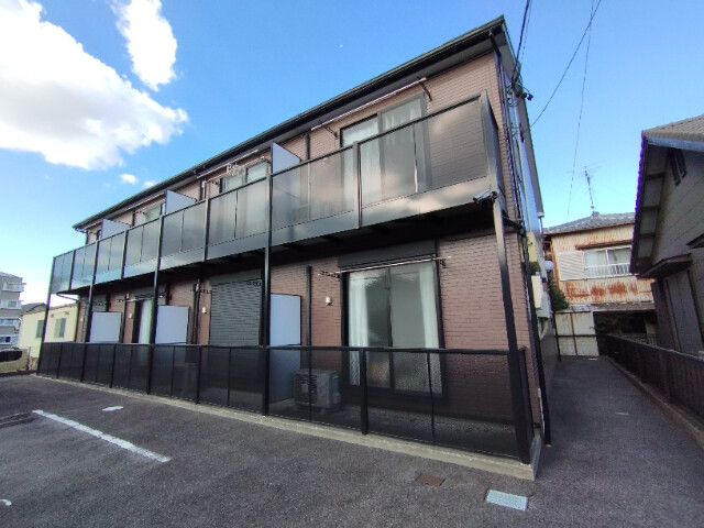 アンプル－ルリ－ブル楓