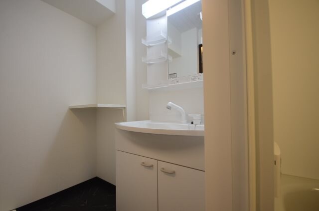 洗面所(シャワー付洗面台)