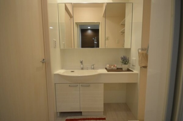 洗面所(洗髪洗面化粧台)