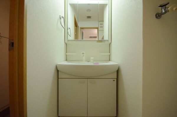 洗面所(洗髪洗面化粧台※別室写真)