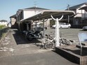 スワン