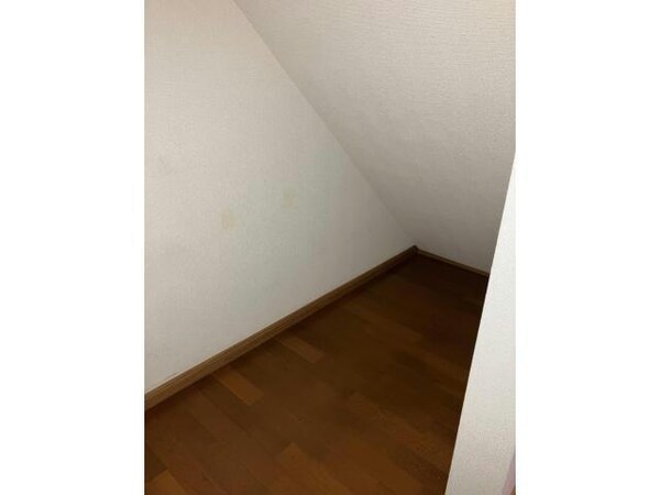 居室（その他）(階段下収納)