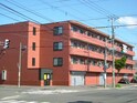 ＫＩＮＳＥＩ