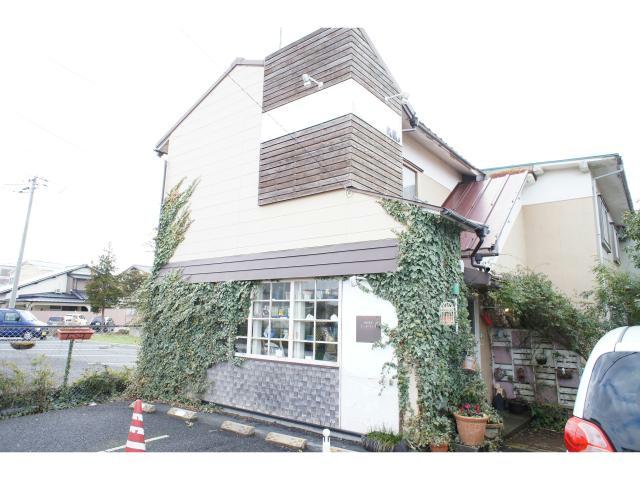 カノープステナント