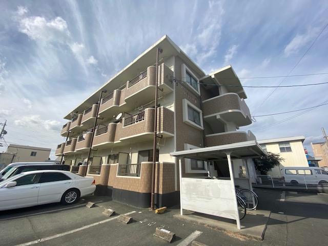 マンションやまももの木