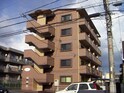 Ｂｌａｎｄｉｎｉ
