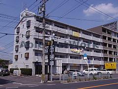 エレガンシア21