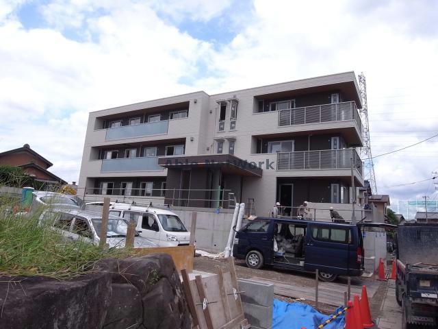oazo Y