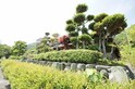 日生町寒河戸建