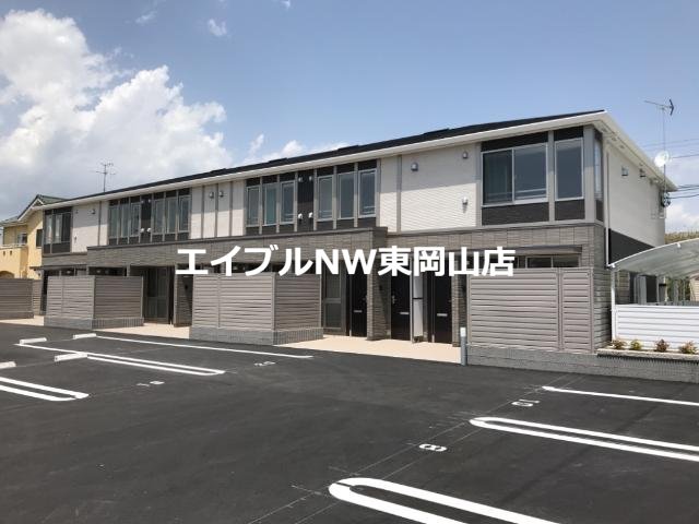 オリーブ