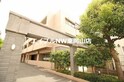 アルファステイツ国富