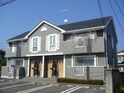 セレッソサカエ