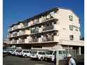 Ｍａｉｓｏｎ  Ｓａｋａｅ